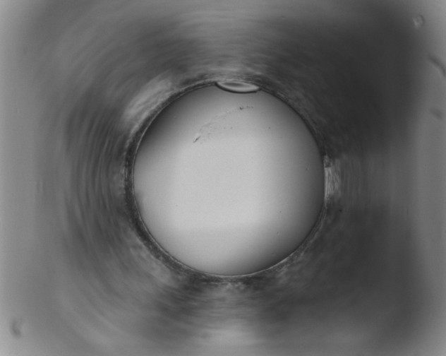 X0000103490243200809261956