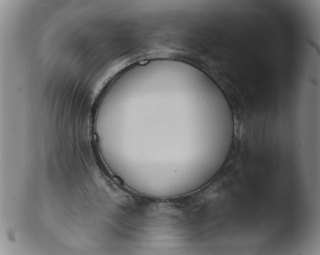 X0000103490244200809261956