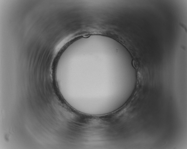 X0000103490246200809261956