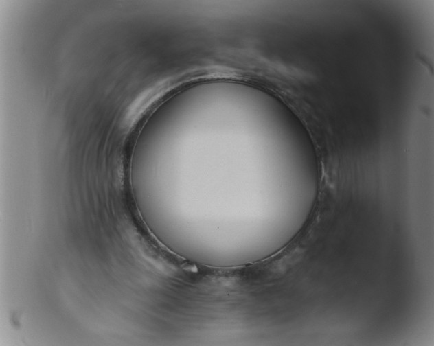 X0000103490247200809261956