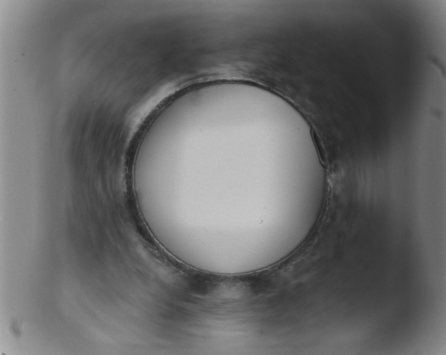 X0000103490248200809261956