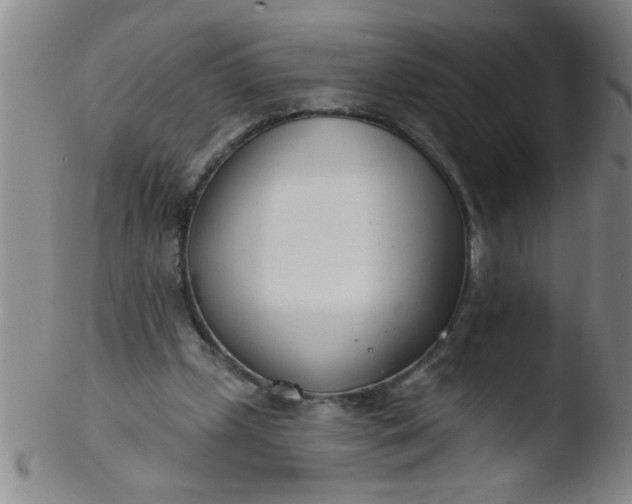 X0000103490249200809261957