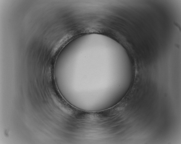 X0000103490250200809261957