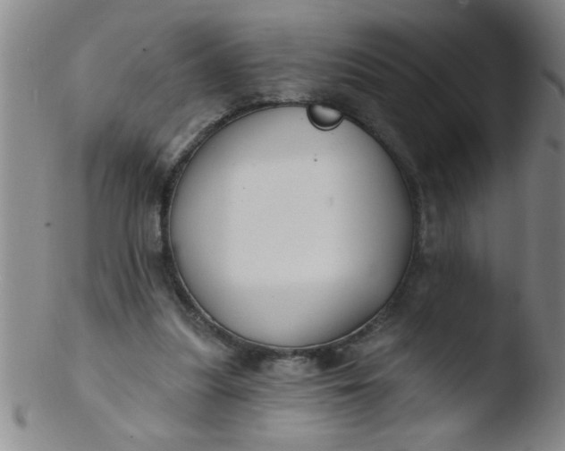 X0000103490251200809261957