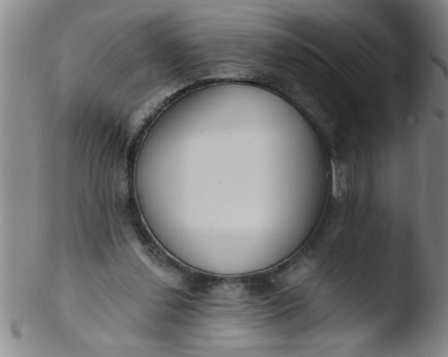 X0000103490252200809261957