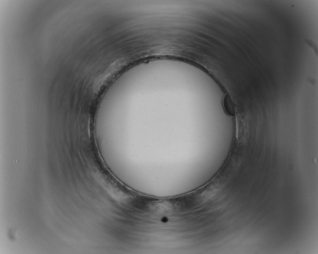 X0000103490253200809261957