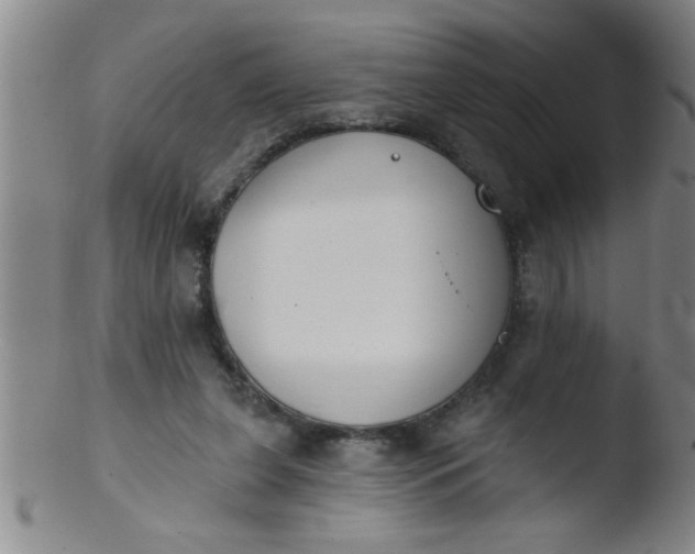 X0000103490255200809261957