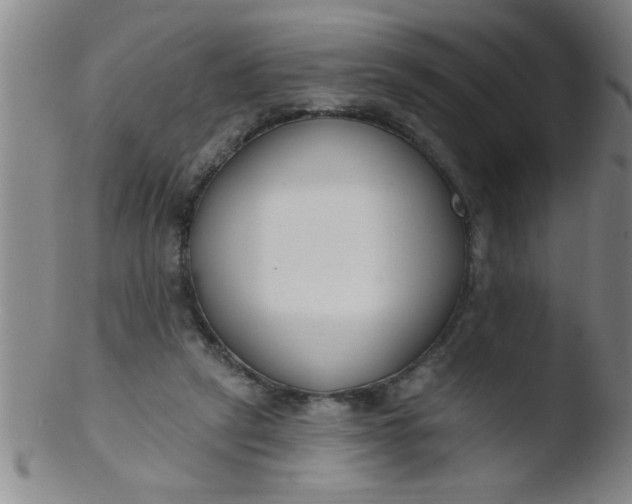 X0000103490257200809261957