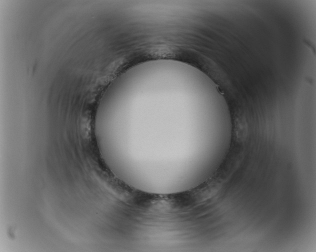 X0000103490259200809261957