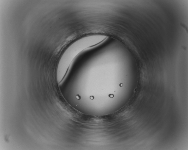 X0000103490260200809261957