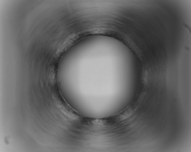 X0000103490261200809261957