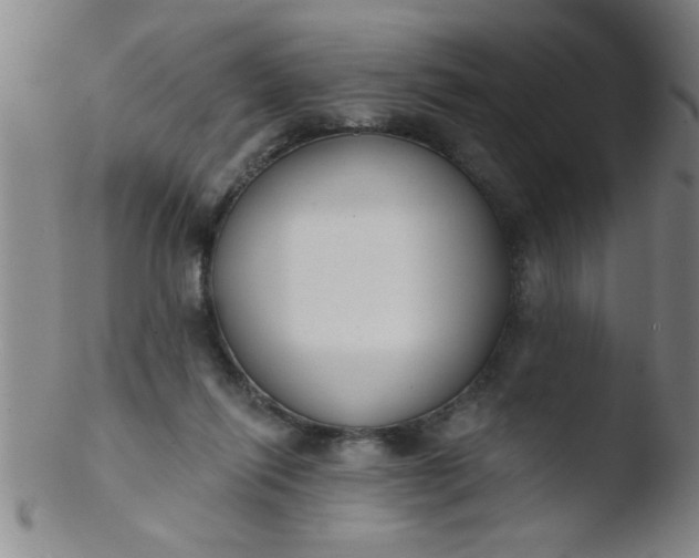 X0000103490262200809261957