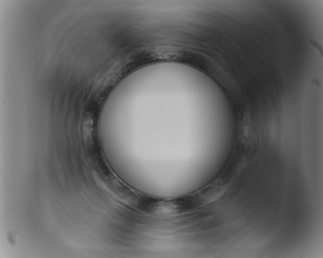 X0000103490263200809261957