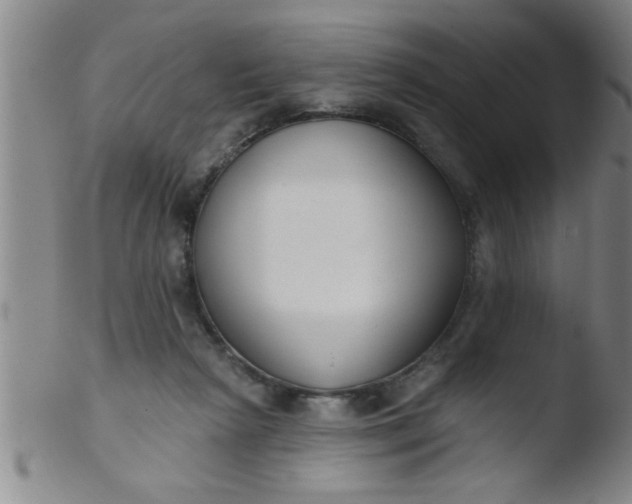 X0000103490265200809261957