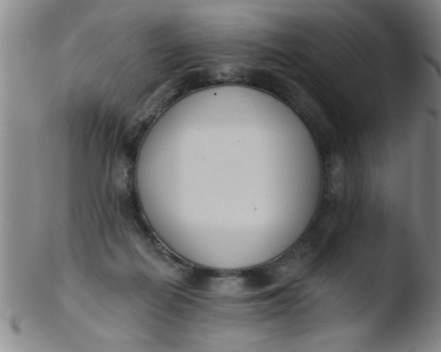 X0000103490266200809261957