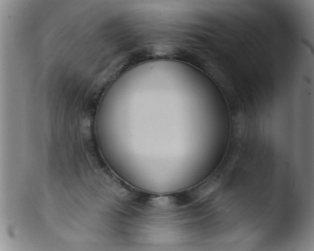 X0000103490269200809261957