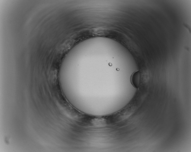 X0000103490271200809261957