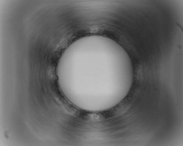 X0000103490272200809261957