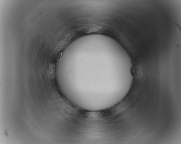 X0000103490273200809261957