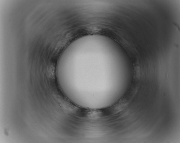 X0000103490274200809261957