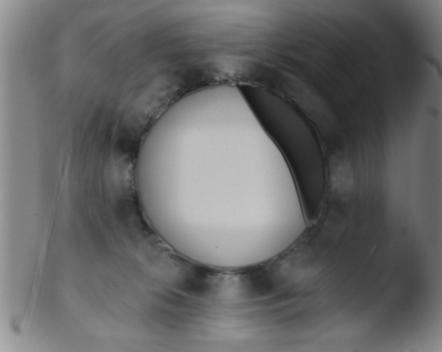 X0000103490276200809261957