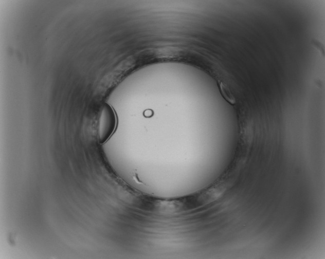 X0000103490277200809261957