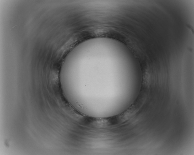 X0000103490278200809261957