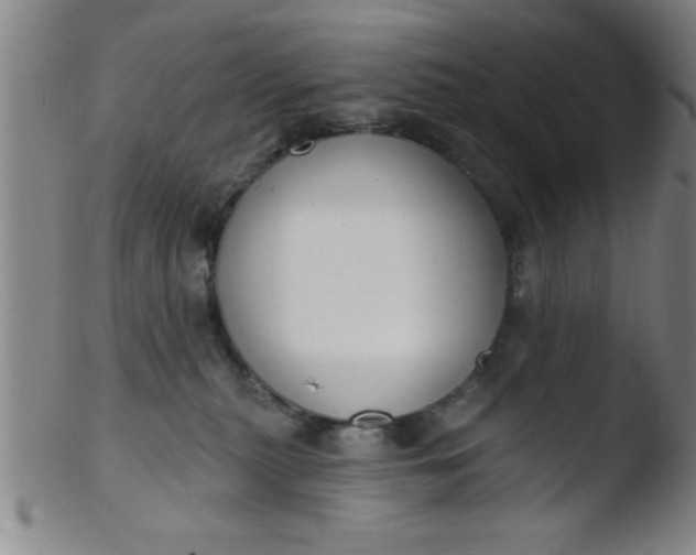 X0000103490279200809261957