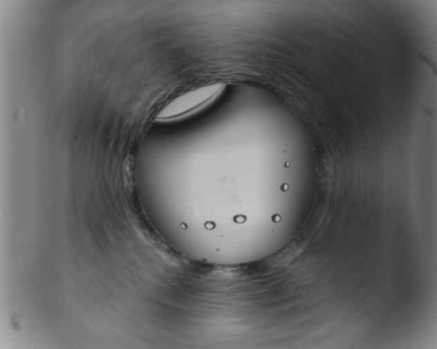 X0000103490280200809261957