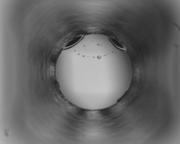 X0000103490281200809261957