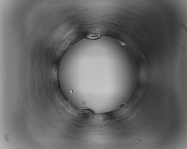 X0000103490282200809261957