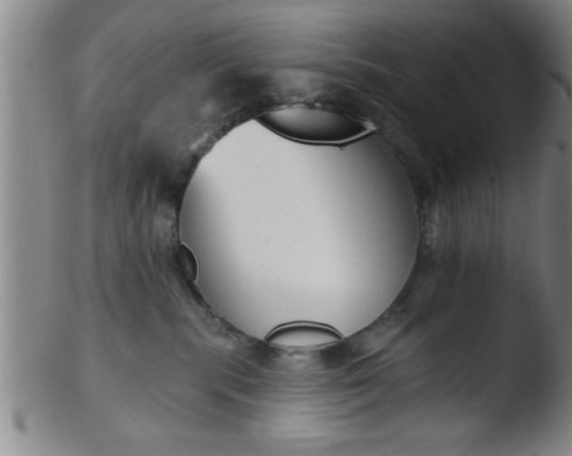 X0000103490283200809261957