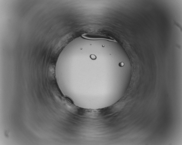 X0000103490288200809261957