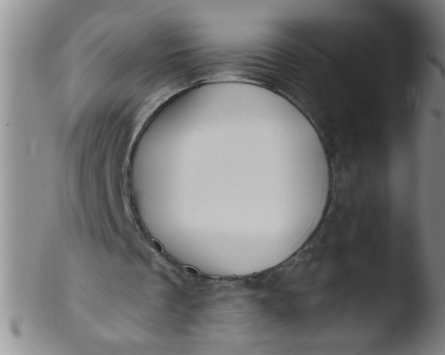 X0000103490289200809261956