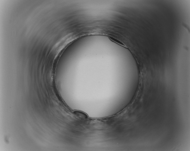 X0000103490290200809261956