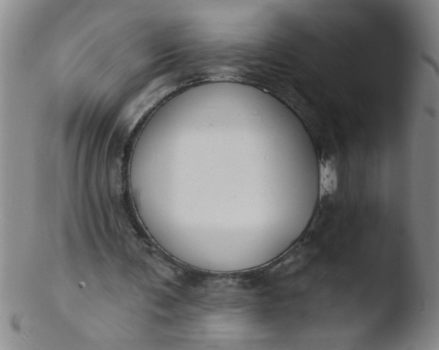 X0000103490291200809261956