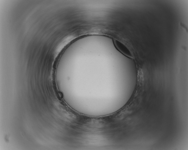 X0000103490292200809261956