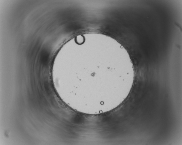 X0000103490293200809261956