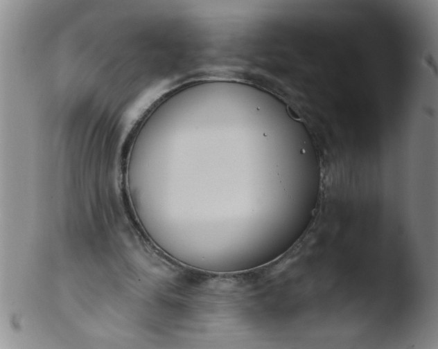 X0000103490294200809261956