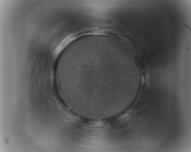 X0000103490295200809261956