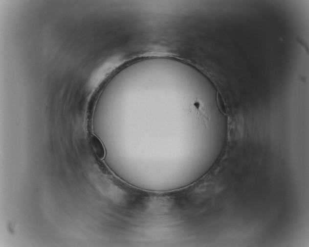 X0000103490296200809261956