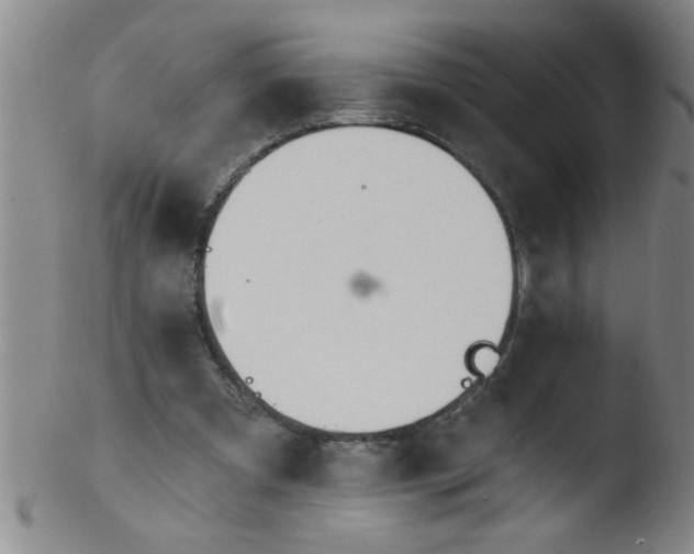 X0000103490297200809261956