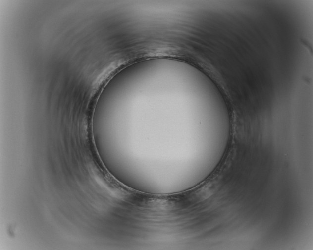 X0000103490298200809261956