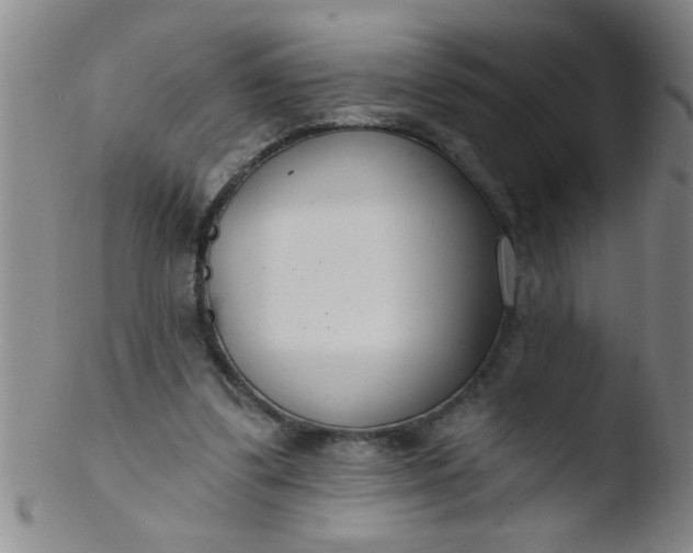 X0000103490299200809261956