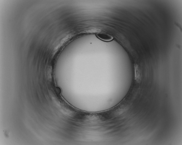 X0000103490300200809261956