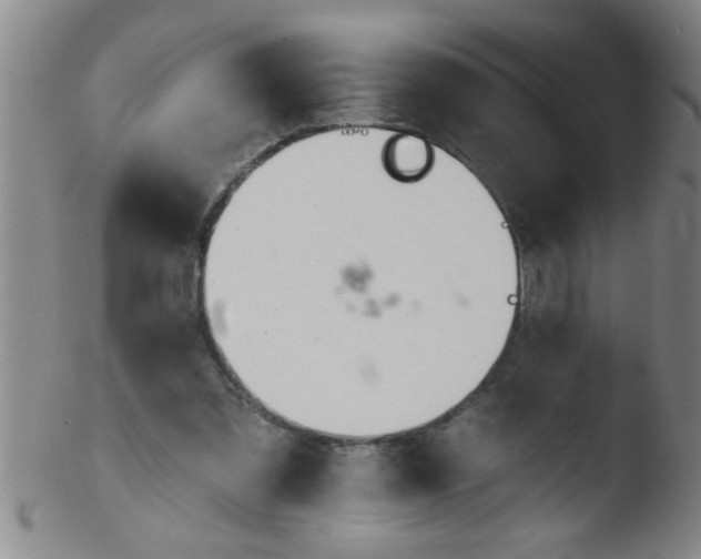 X0000103490301200809261956