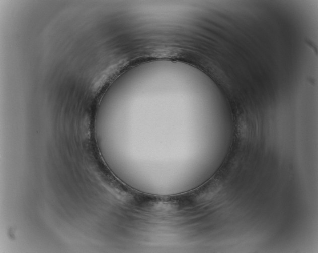 X0000103490303200809261956