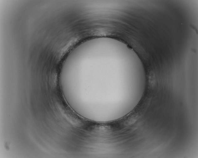 X0000103490304200809261956