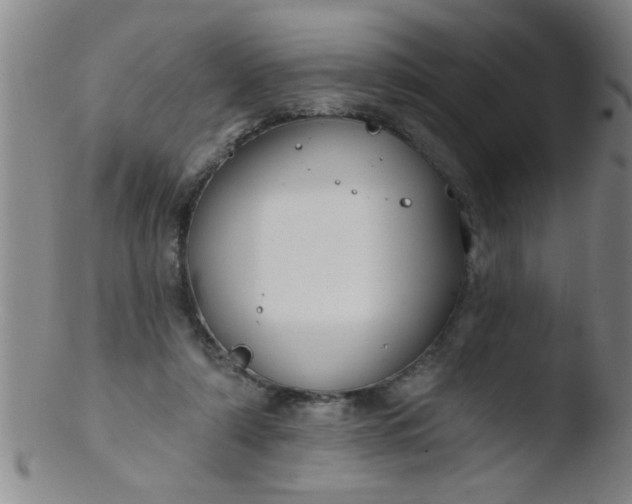 X0000103490306200809261956