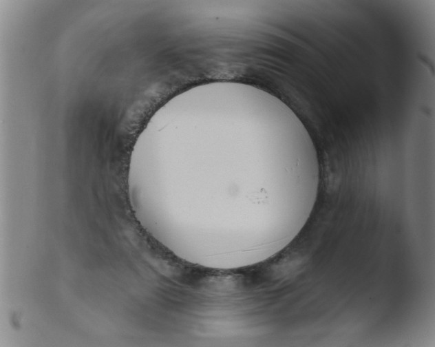 X0000103490307200809261956